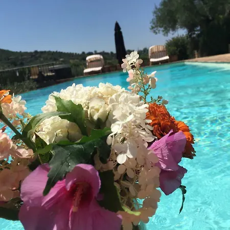 Fontanaro Farm And Culinary School Hébergement de vacances Paciano