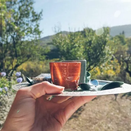 Fontanaro Farm And Culinary School * Paciano