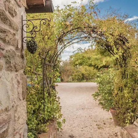 Fontanaro Farm And Culinary School