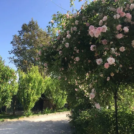 度假居 Fontanaro Farm And Culinary School