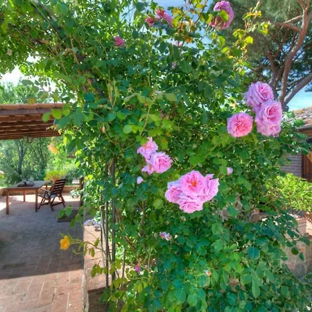 度假居 Fontanaro Farm And Culinary School 帕西亚诺