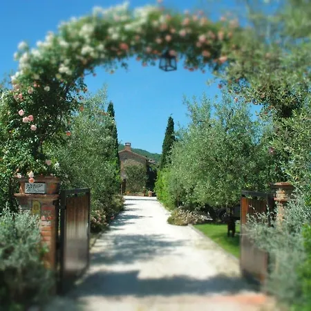Casa vacanze Fontanaro Farm And Culinary School Paciano