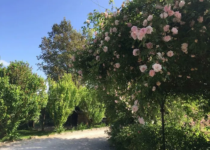 بيت للعطل Fontanaro Farm And Culinary School